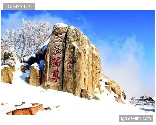 山东泰山豪门地位稳固性面临考验，竞争格局调整走势显现影响